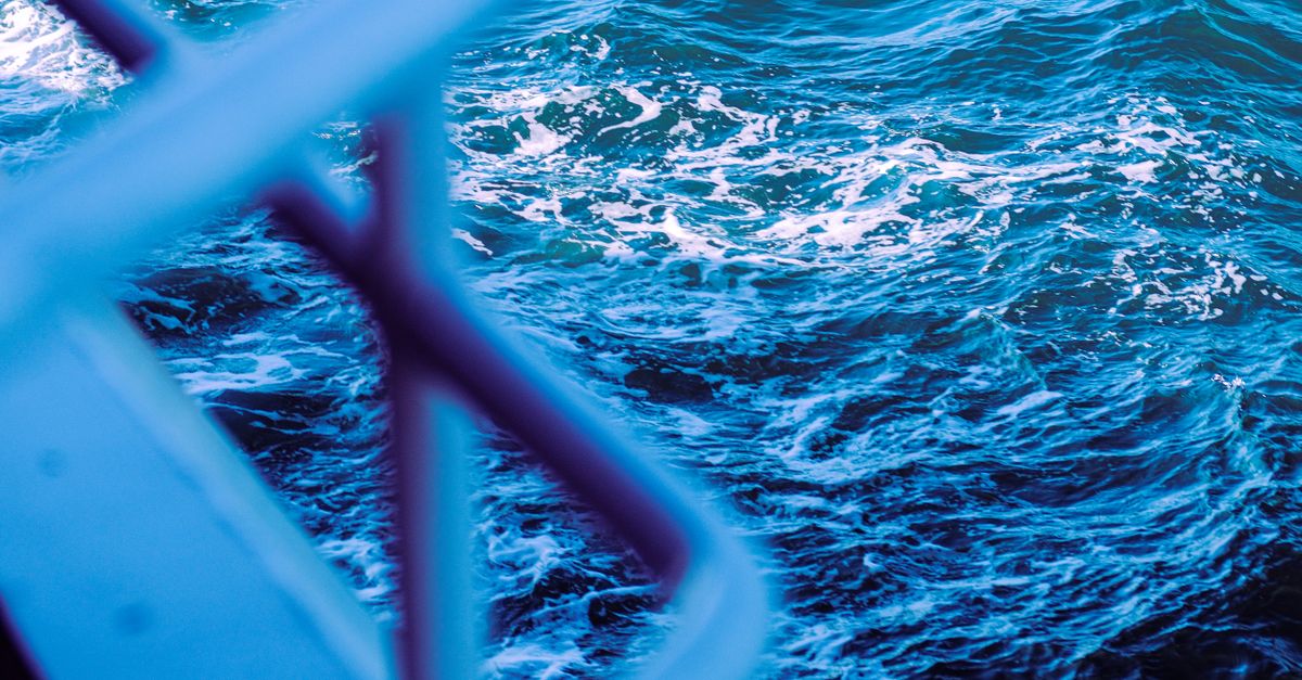 Boat Railing Background Boats Railing Against the Sea · Free Stock Photo