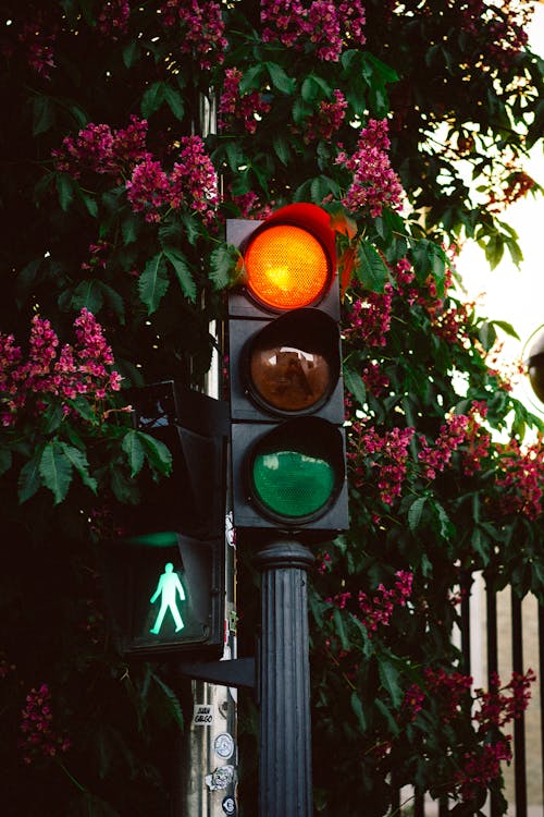 A traffic light with a green light and a red light