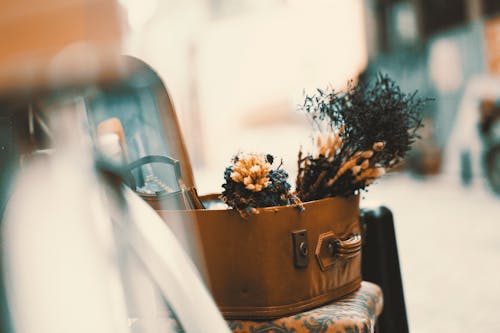 Close-up of Flowers on Table