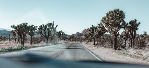 Empty Concrete Road