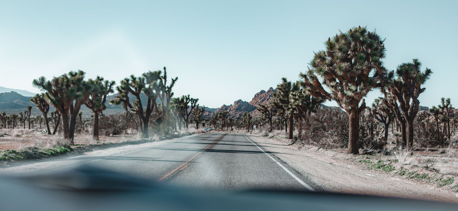 Joshua Tree — Street, Joshua Tree