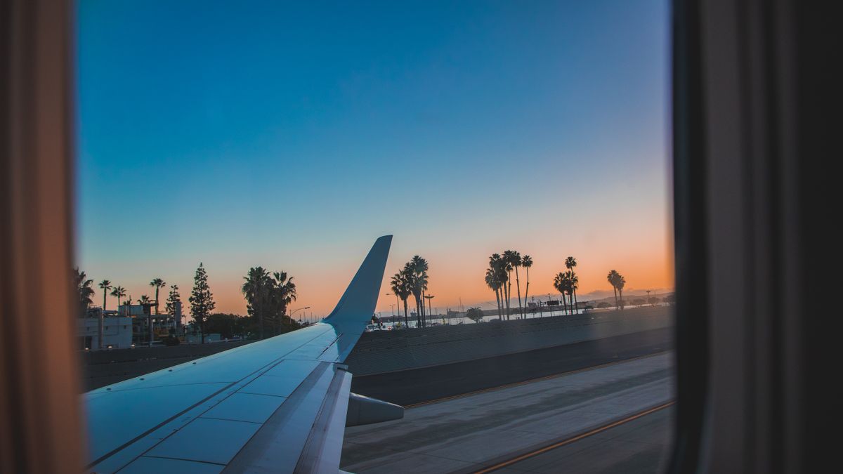 Scenic view from an airplane window of wing and palm trees during sunset.