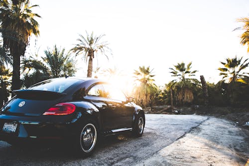 Black Volkswagen New Beetle on Road