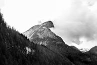 雾蒙蒙的山峰周围，松树在迷人的黑白图像中呈现