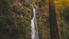 茂密森林的悬崖上，层叠的瀑布在日光下熠熠生辉，令人惊叹