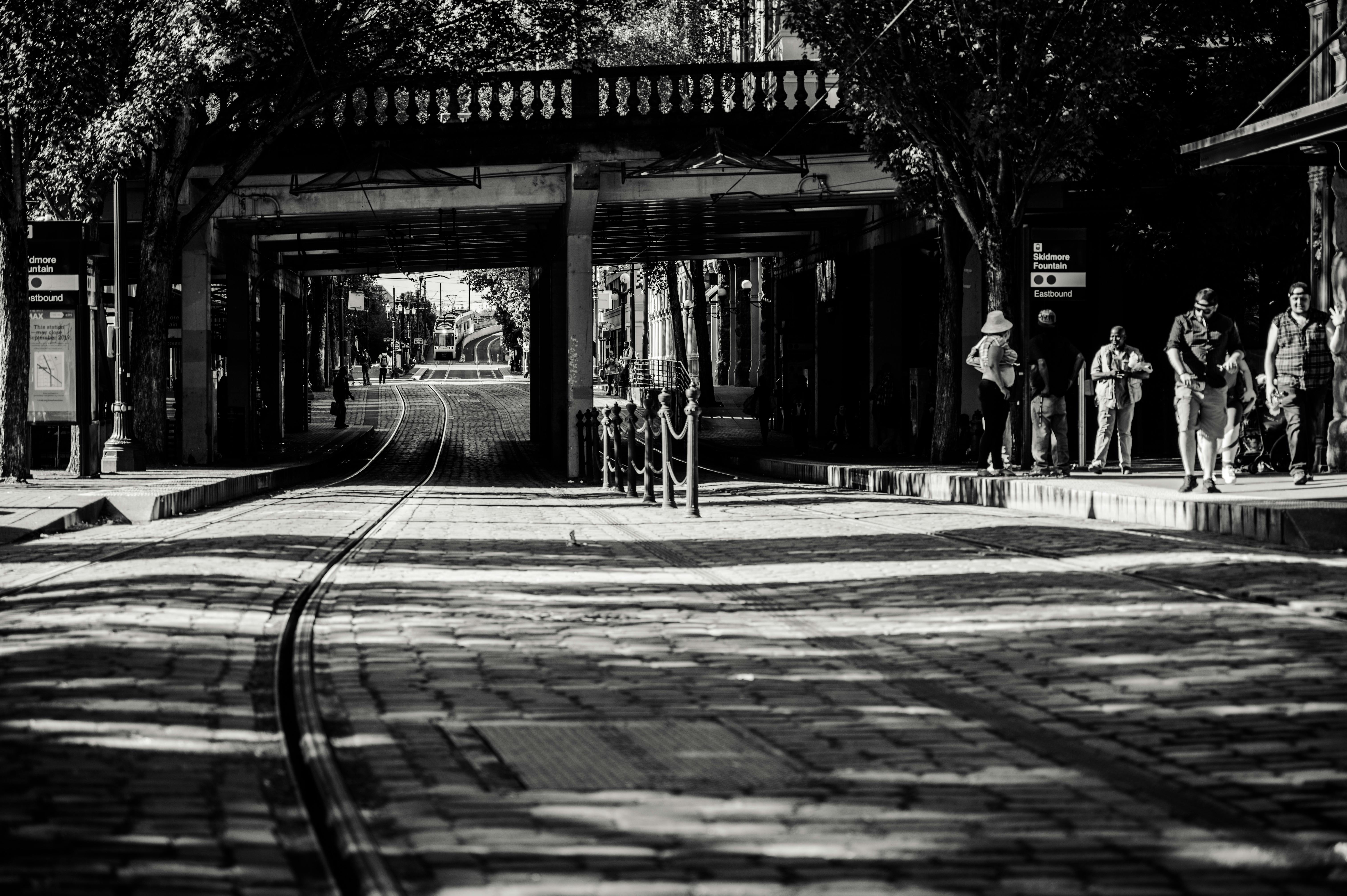 街道的单色视图里，有轨电车线路和桥下的剪影映入眼帘