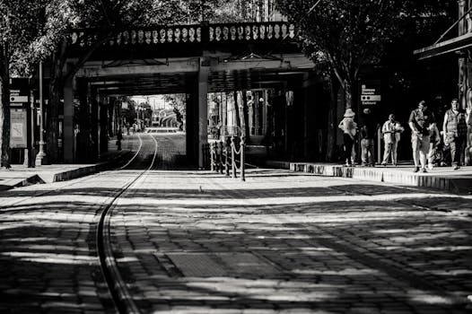 街道的单色视图里，有轨电车线路和桥下的剪影映入眼帘