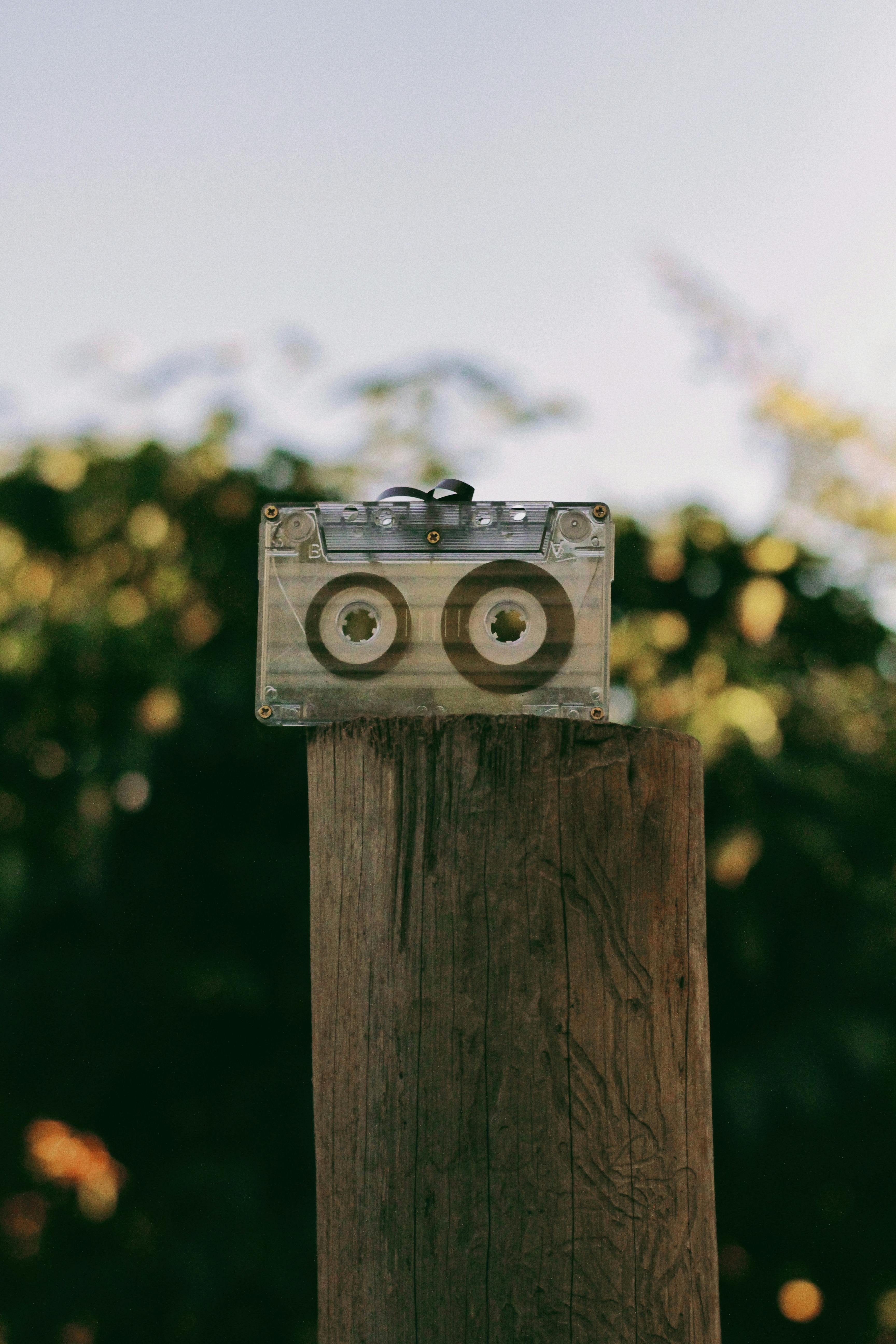 cassette on brown log