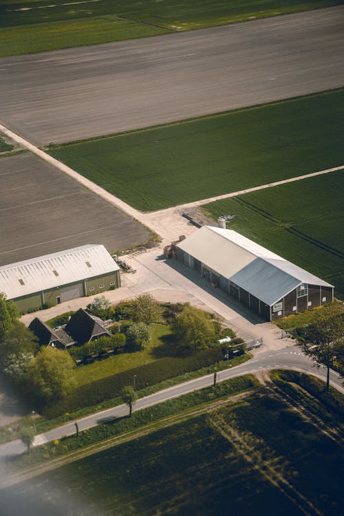 House Near Field