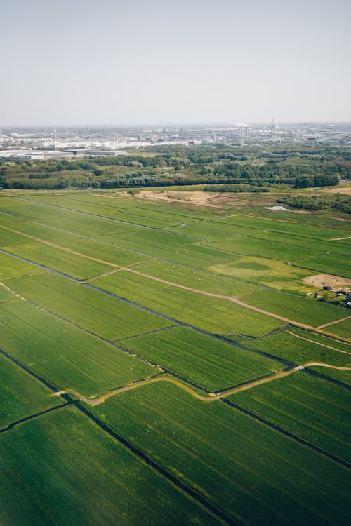 Aerial Phtoography of Green Field