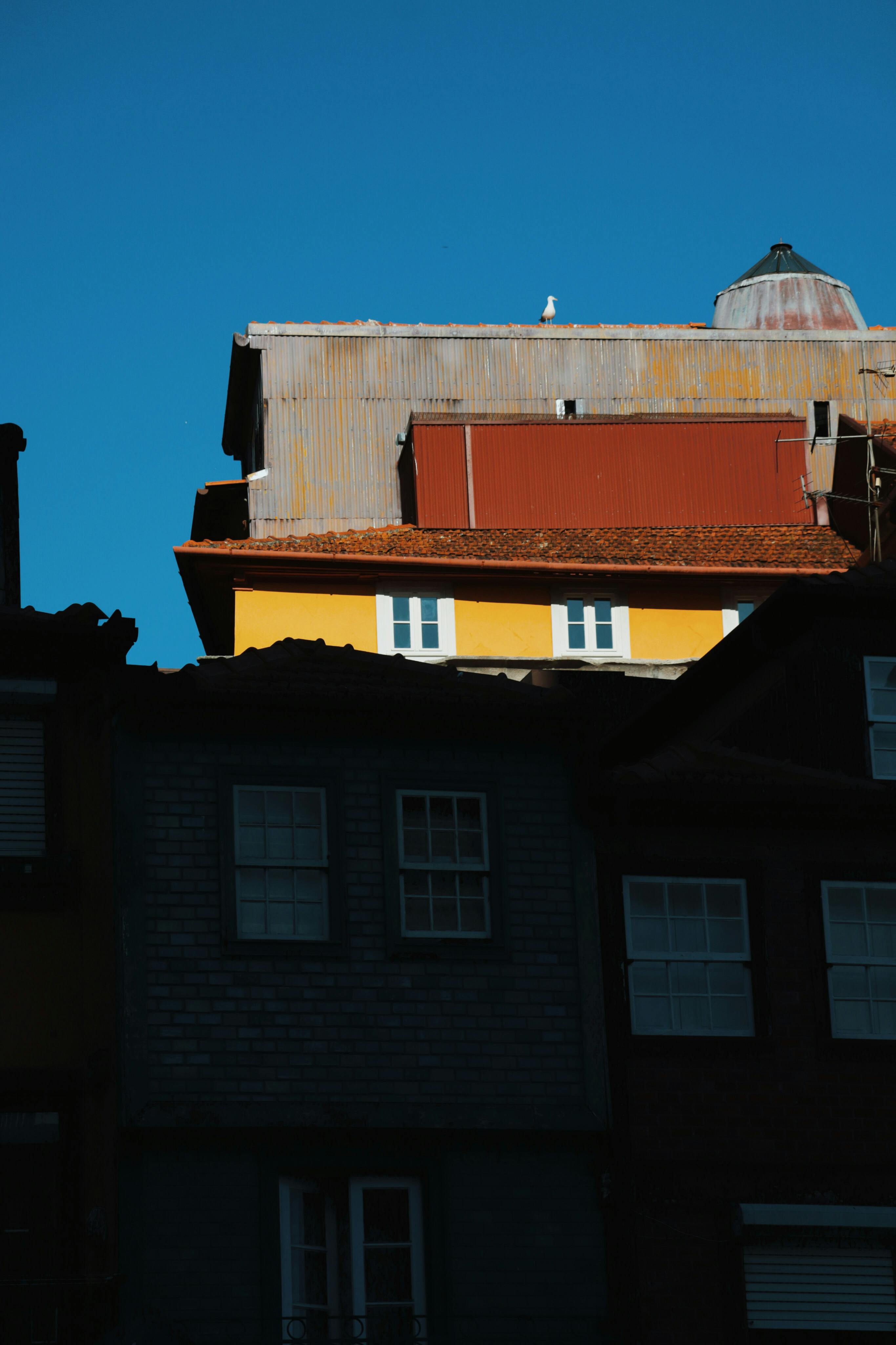 Vibrant rooftops in Porto, Portugal against a clear blue sky.