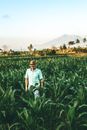 Photo of a Man Wearing Teal Short sleeved Shirt Standing on  Corn Field