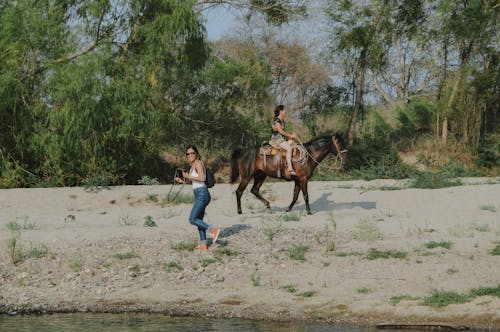 Photo of Woman Riding a Horse on Sand