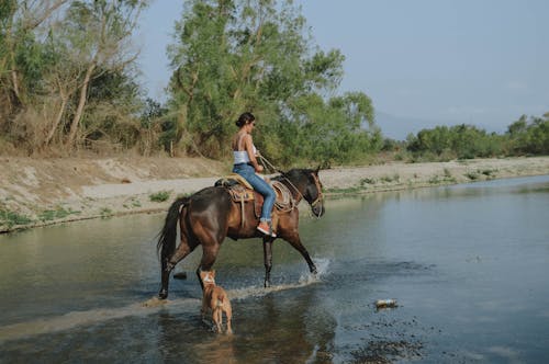 Foto De Uma Mulher Andando A Cavalo Em Um Corpo D'água