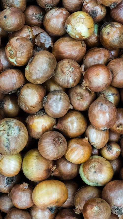 Free stock photo of onion, texture