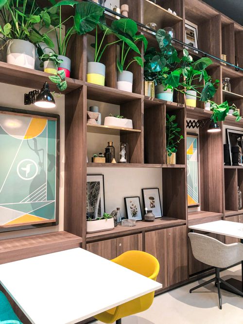 Free Stylish modern cafe interior featuring wooden shelves, vibrant potted plants, and contemporary artwork. Stock Photo