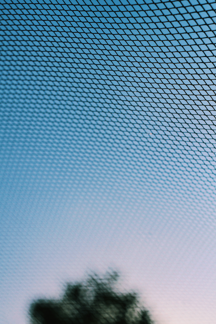 Blurred tree silhouette behind mesh netting with a clear blue sky.