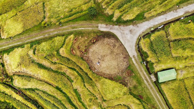 Discover the lush and vibrant rice terraces of Ubud, Bali, from an aerial perspective.