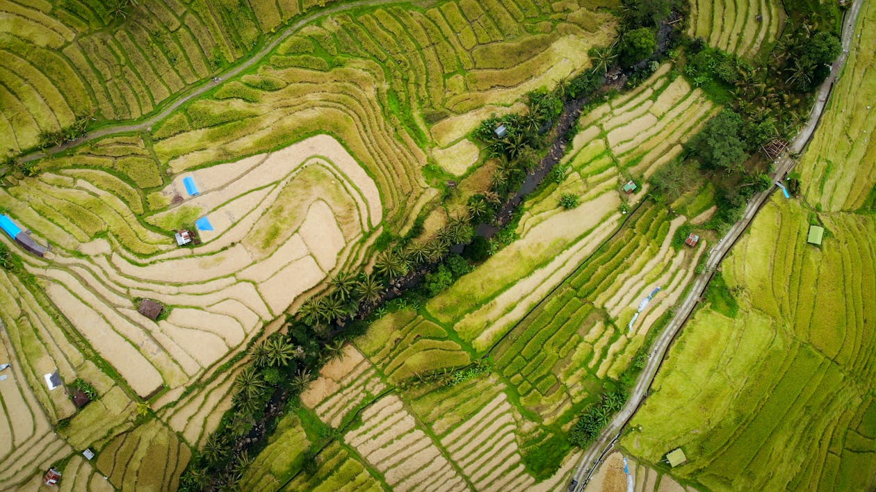 Aerial Photography Of Field