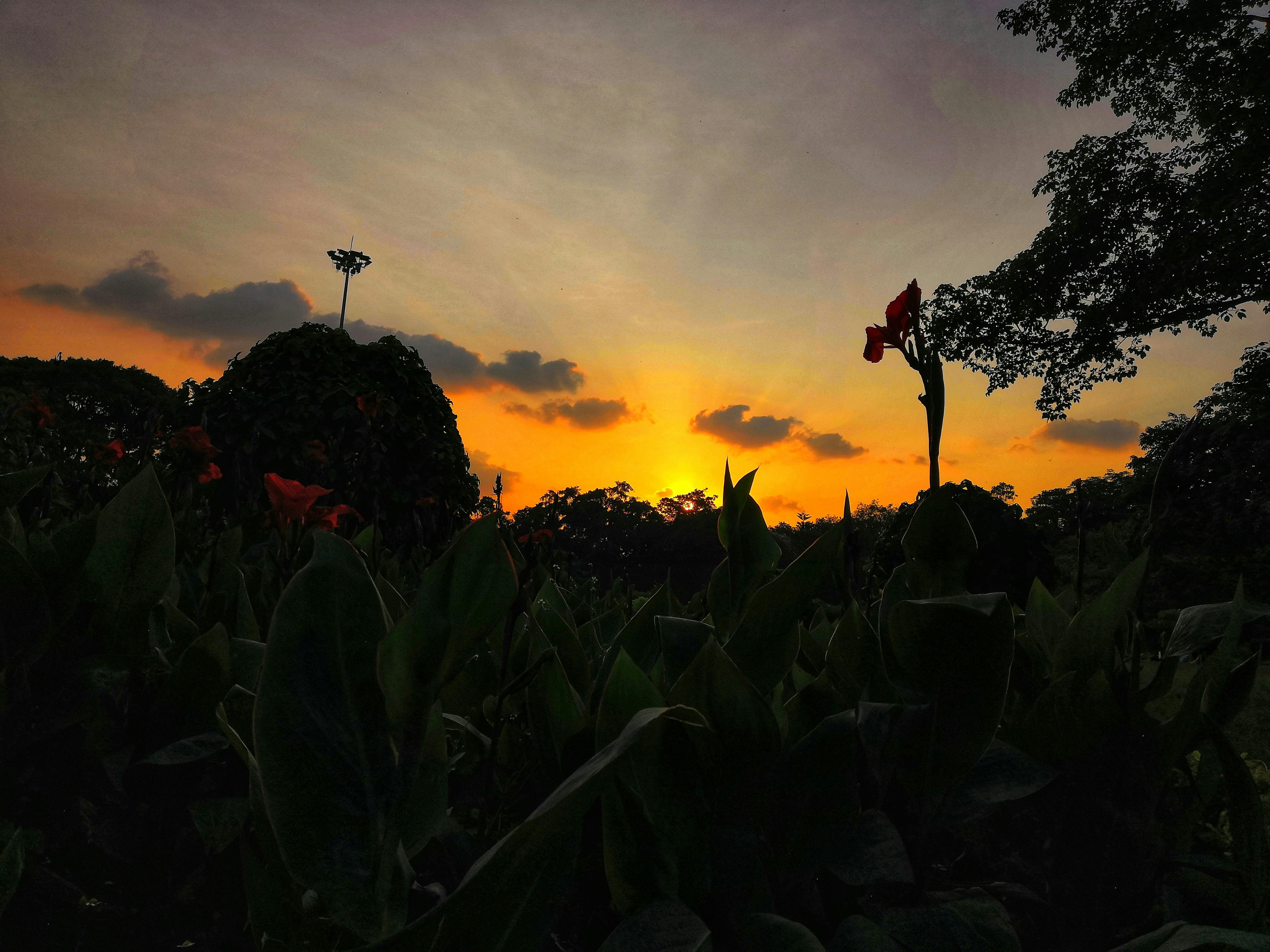 Quy định mới về quản lý chất thải nguy hại 2024