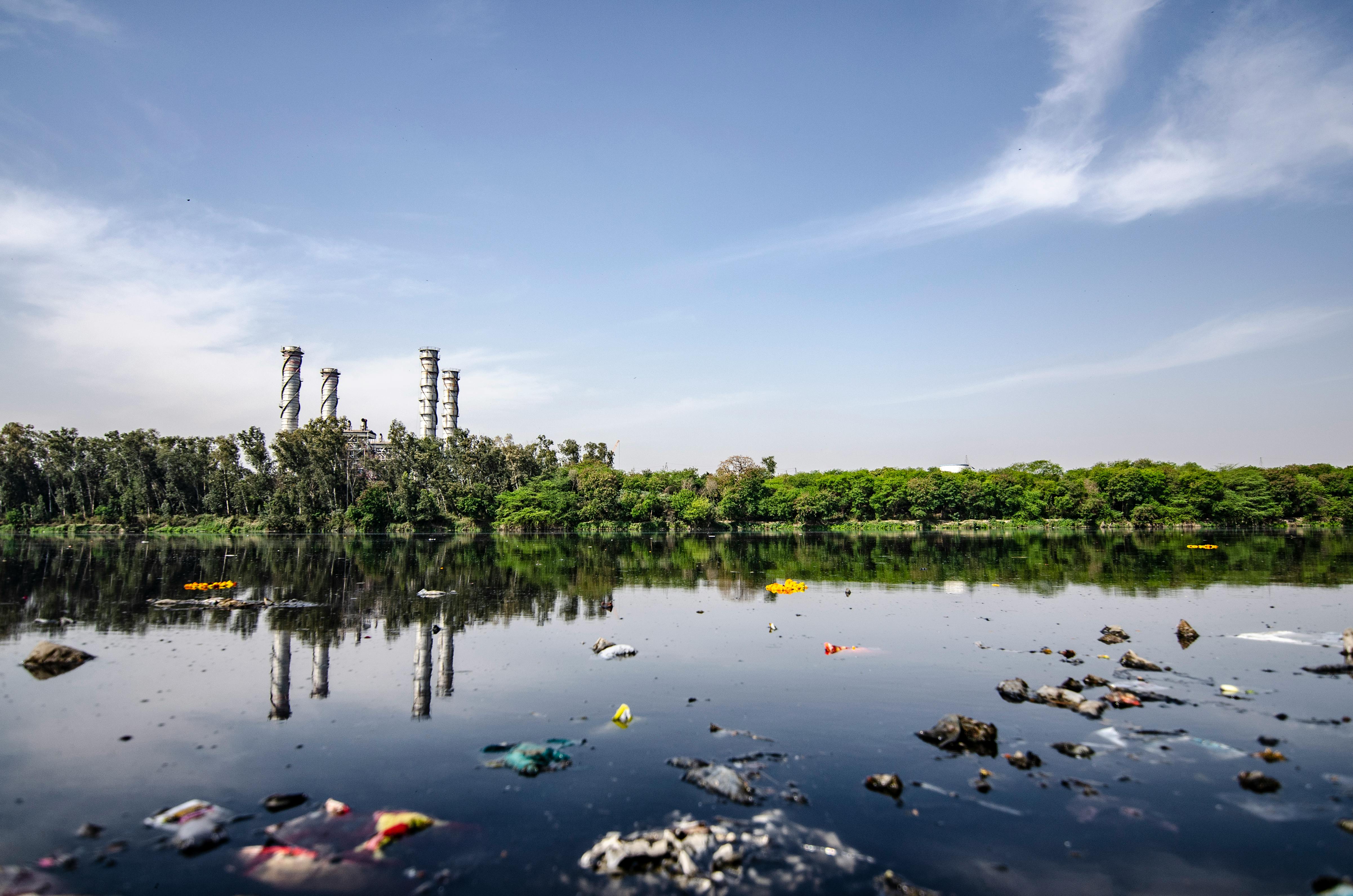 Free Garbage on Body of Water Stock Photo