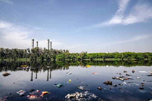 Kostenlos Müll Auf Dem Gewässer Stock-Foto
