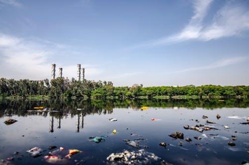 Garbage on Body of Water