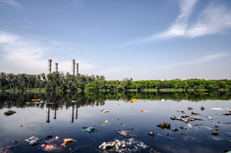 Garbage On Body Of Water