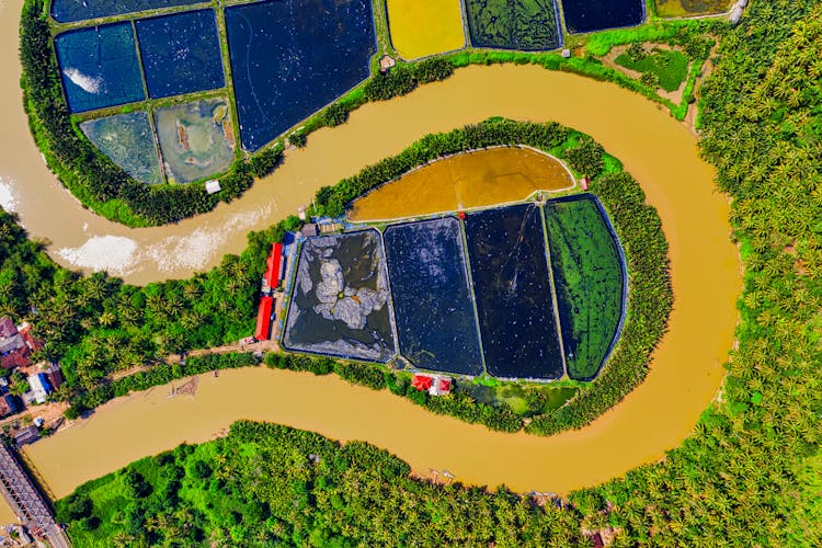 Aerial Photography Of Body Of Water Near Trees