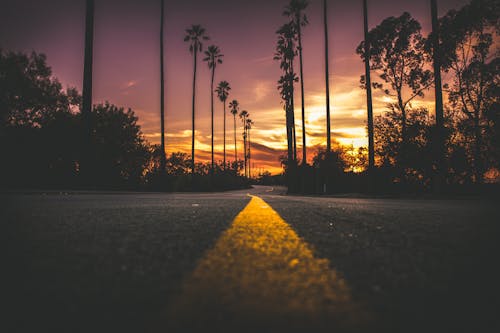 Free Road in City during Sunset Stock Photo
