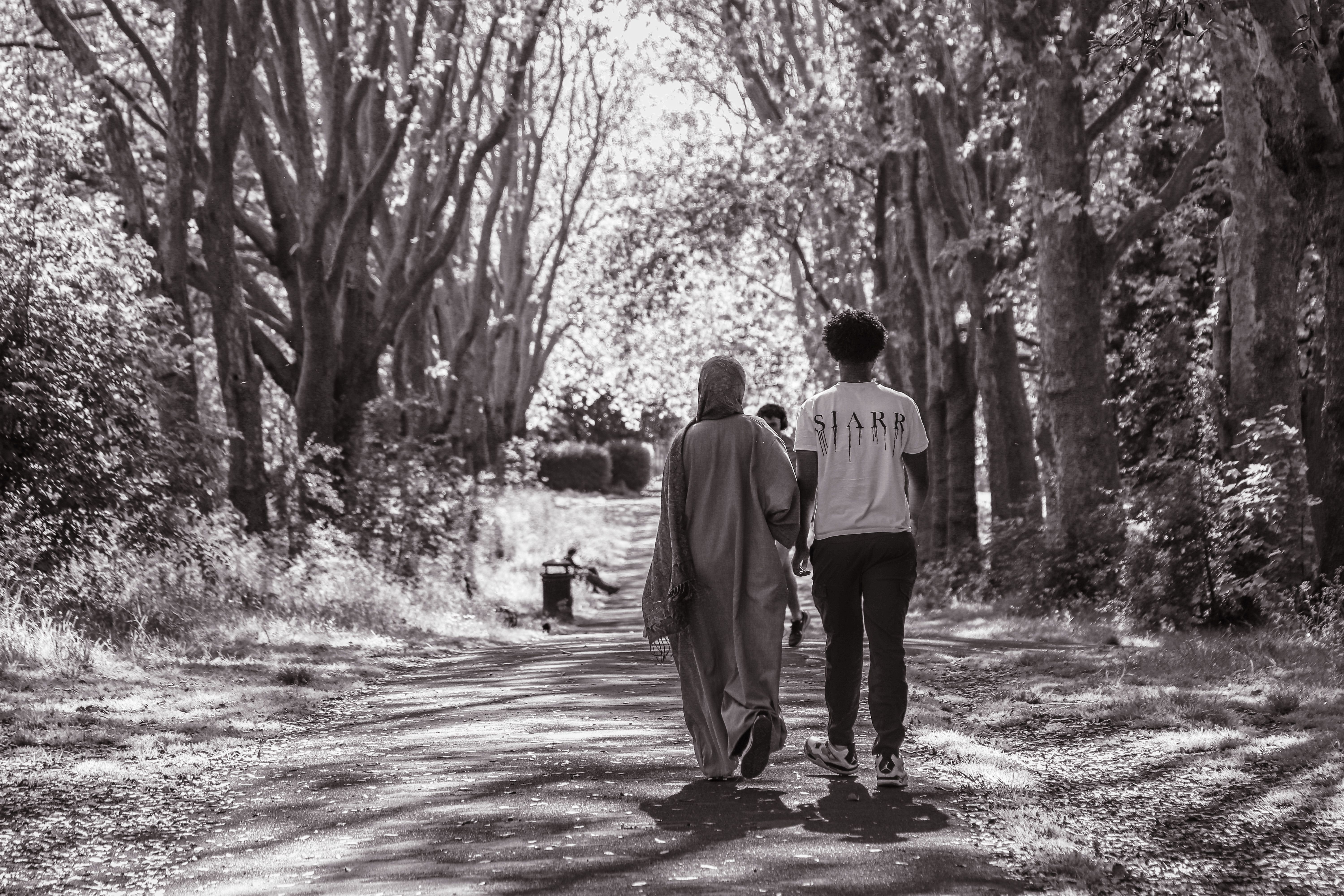 Back View of Couple Walking under Trees at Park · Free Stock Photo