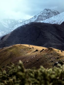 Hikers traverse a picturesque mountain trail in Almaty, Kazakhstan, under a dramatic sky.