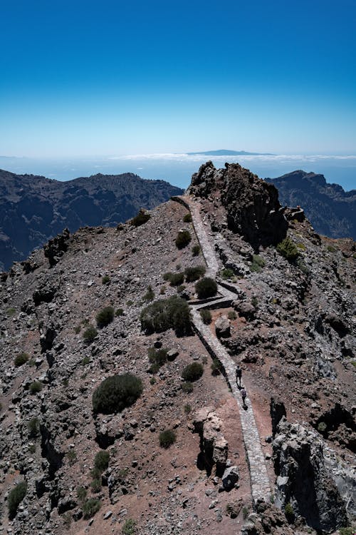 Foto profissional grátis de bico, caminho, horizonte