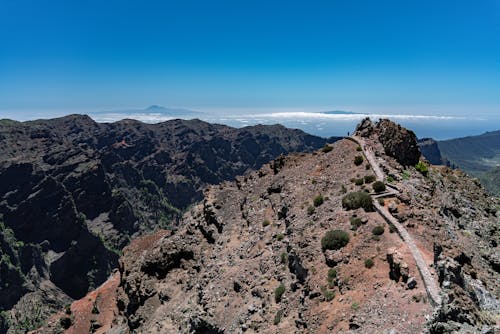 Foto profissional grátis de bico, caminho, horizonte