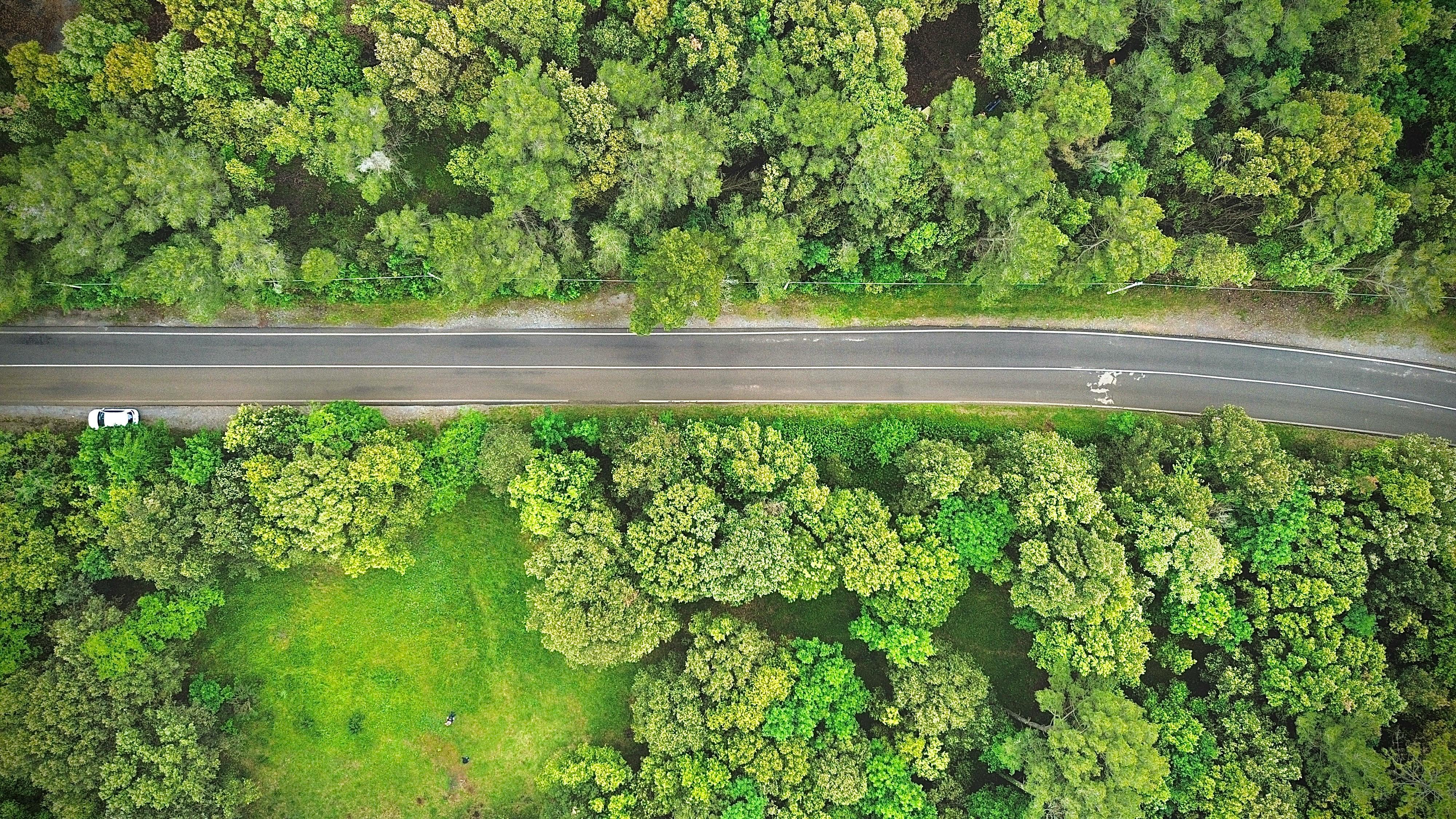 evs explained sustainability — Photo by FsPhoto on Pexels