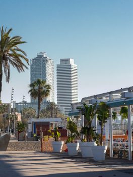 Beachfront view in Barcelona featuring palm trees and iconic skyscrapers under a clear blue sky.