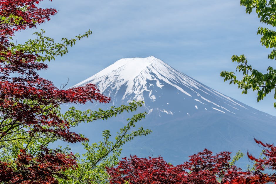 Mt. Fuji