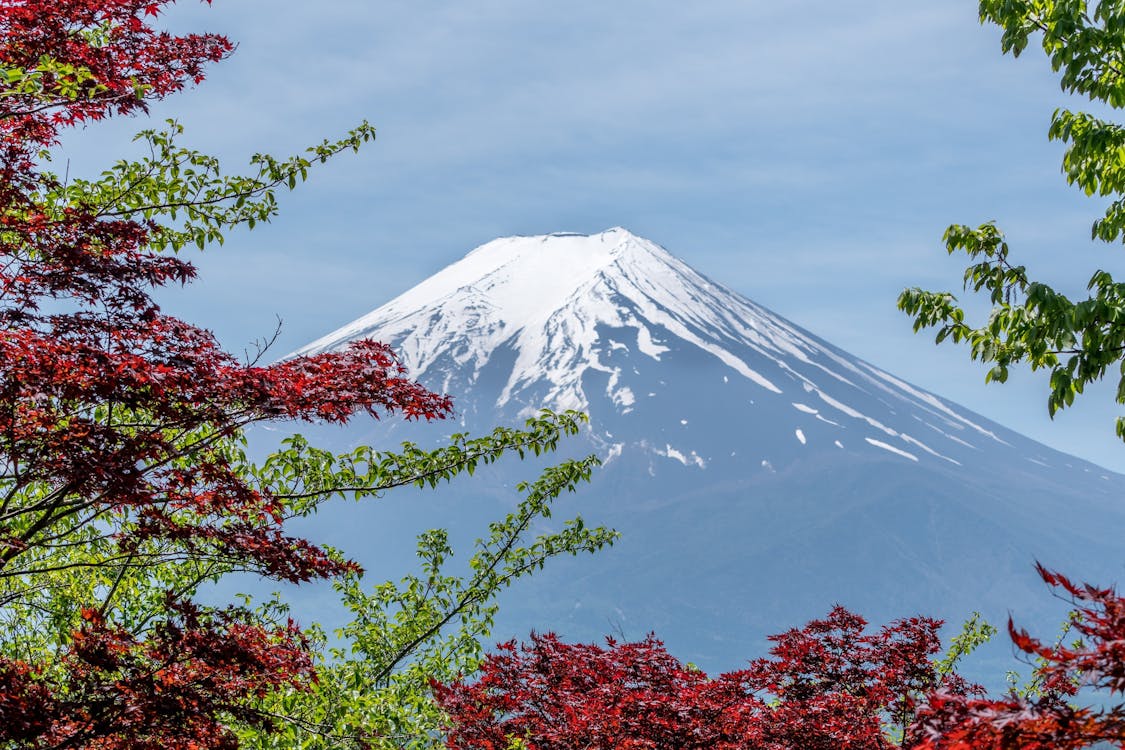 Gratis Mt. Fuji Foto Stok