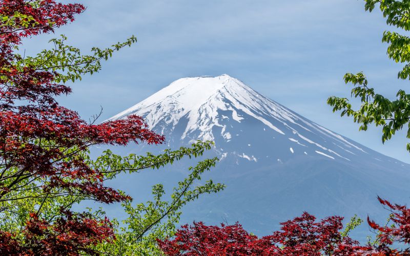 Claiming the Foreign Tax Credit for Japanese Taxes: What Counts and What Does Not