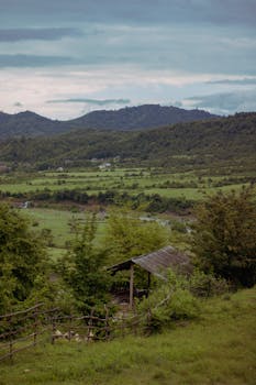 Image by Arzu Ibaeva