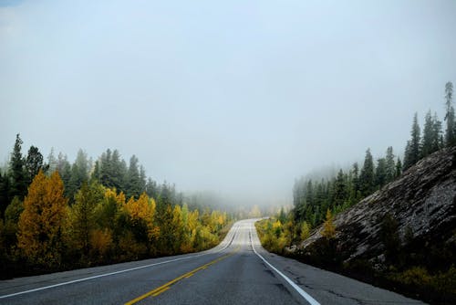 Free Empty Country Road in Fog Stock Photo