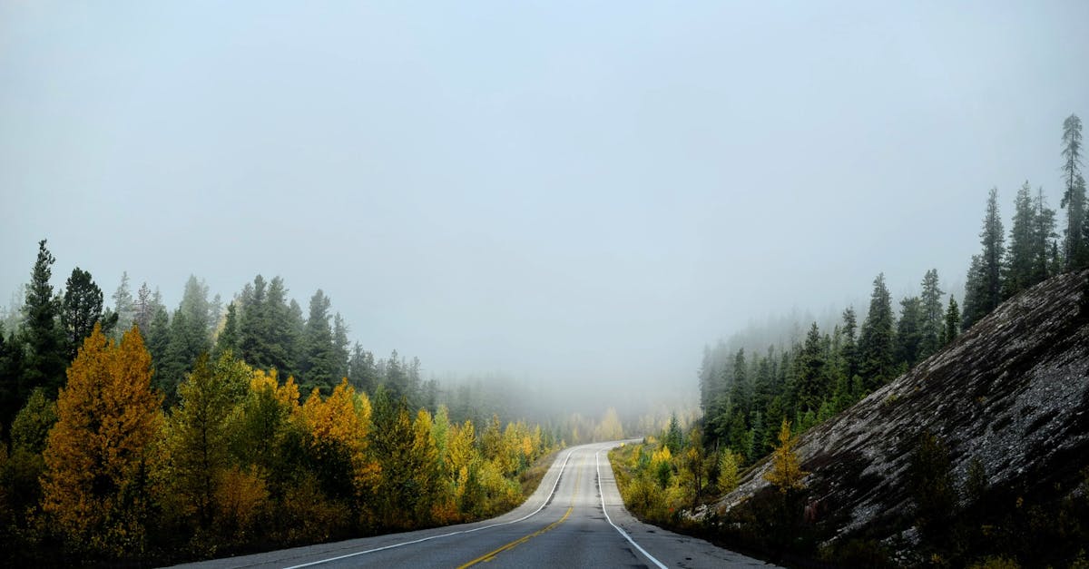 Empty Country Road in Fog
