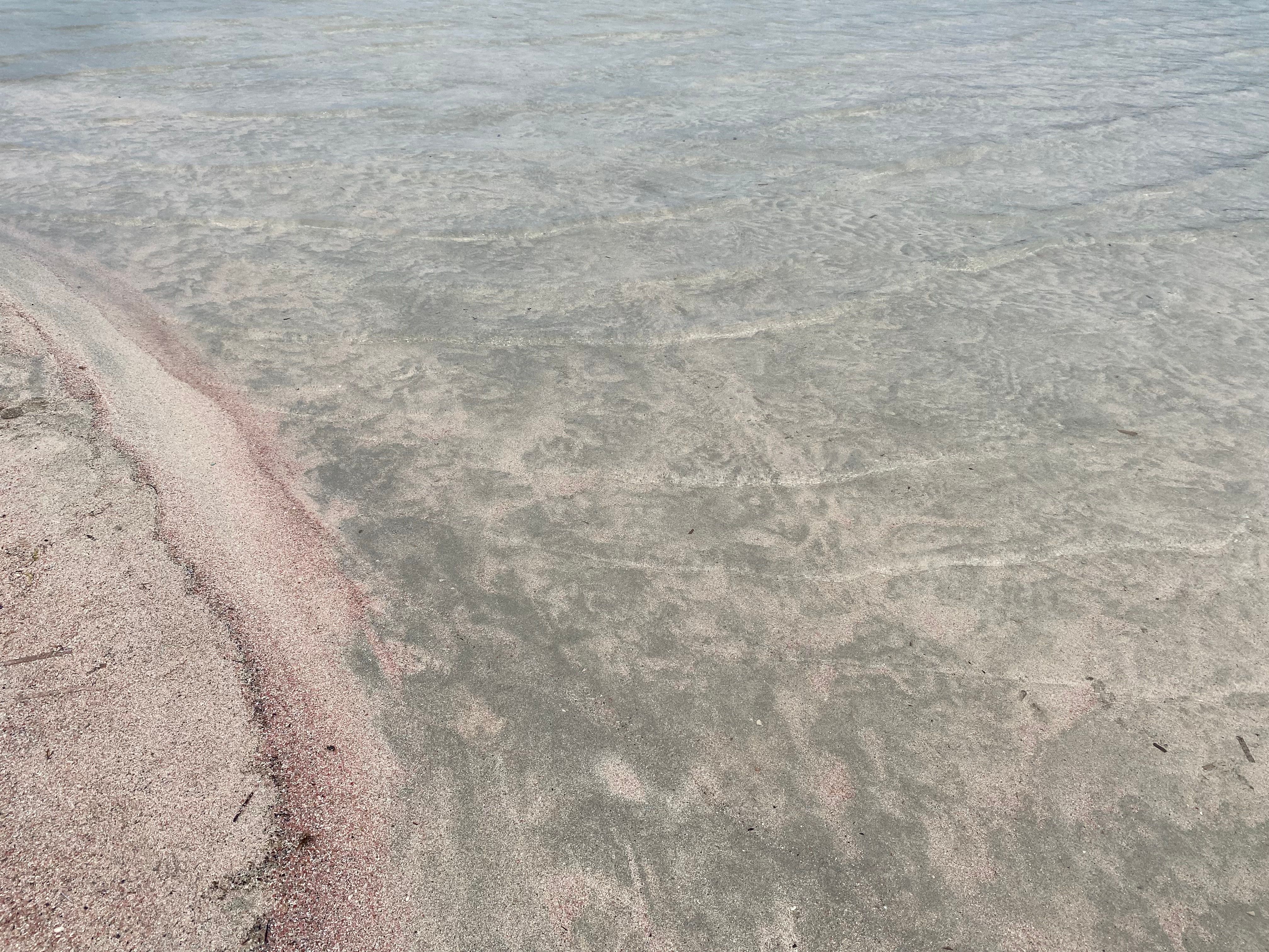 Różowa plaża Elafonisi