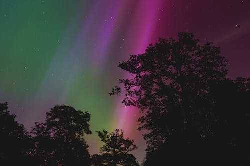 ağaçlar, alevlenmek, Aurora borealis içeren Ücretsiz stok fotoğraf
