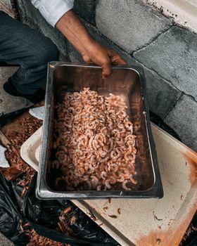 Extra Raw Shrimp