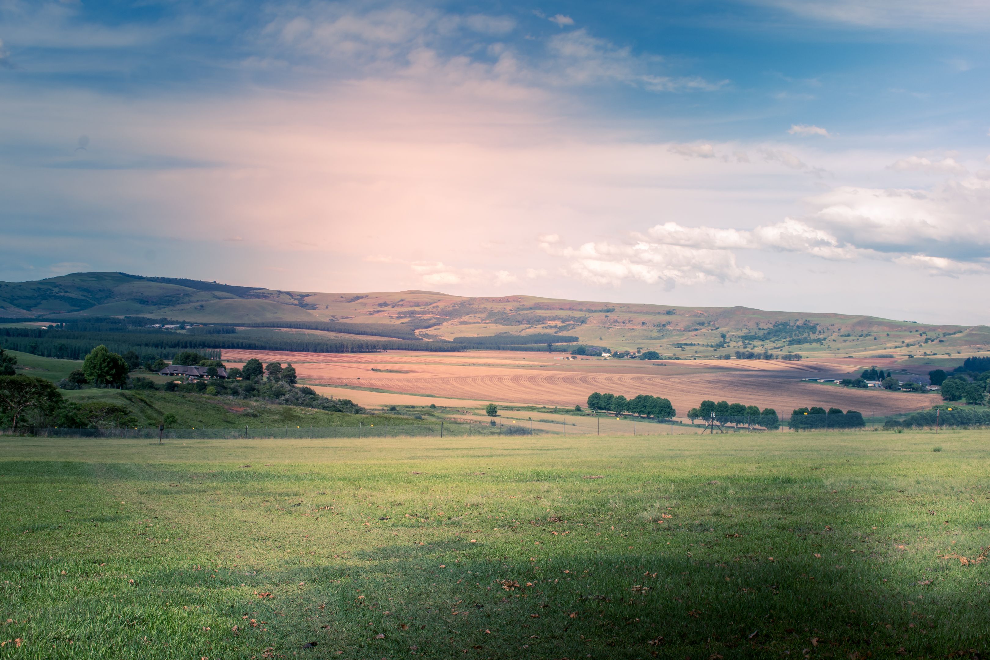 Foto: Thinus Pretorius / Pexels