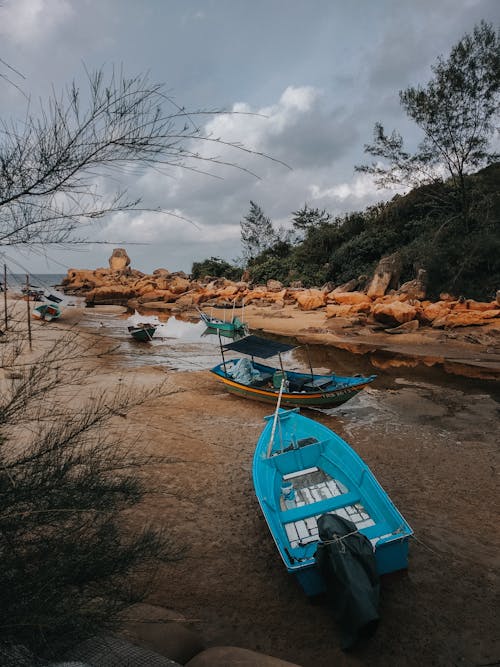 Two Blue Canoe Near Shoreline