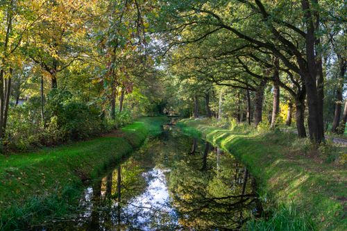 Free Tranquil canal in countryside with lush greenery and tree reflections on a sunny day. Stock Photo