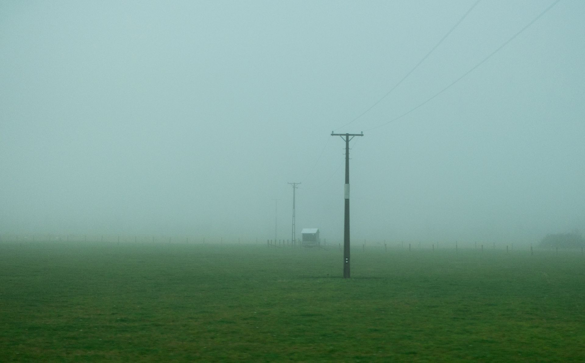 Utility Poles in a Foggy Fenced Pasture