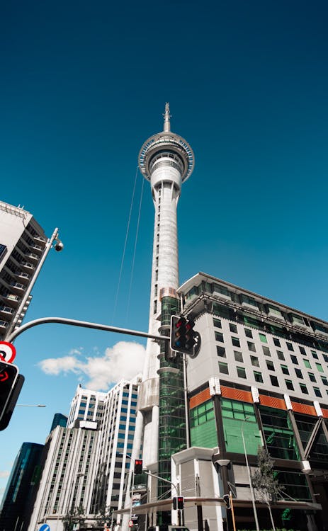 Ingyenes stockfotó acél, auckland, belváros témában